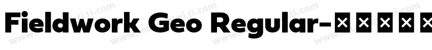 Fieldwork Geo Regular字体转换